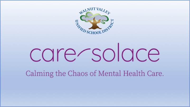 Care Solace slide